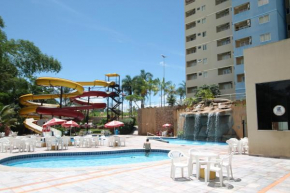 GOLDEN DOLPHIN Click Caldas
